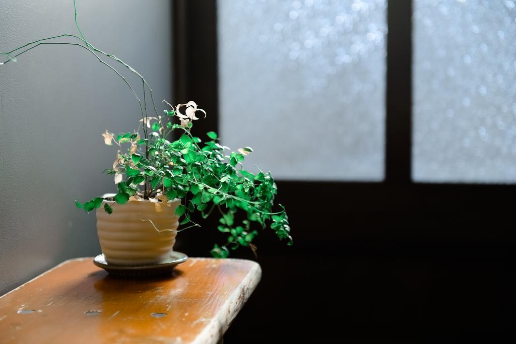 Willa Nanni Saiin Machiya Kioto Zewnętrze zdjęcie